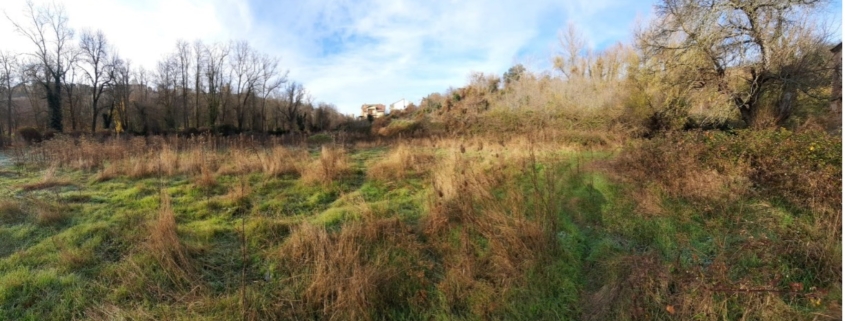 ProduccionAgroecologica01